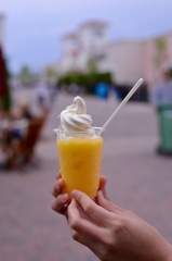 温州みかん フローズンソフト