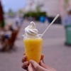 温州みかん フローズンソフト