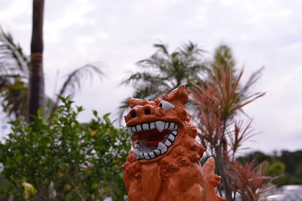沖縄旅行