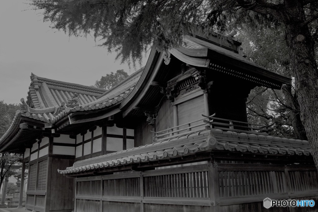 お散歩スナップ 神社
