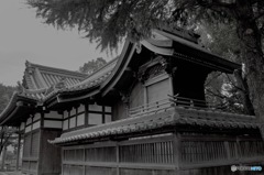 お散歩スナップ 神社
