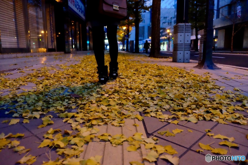 札幌