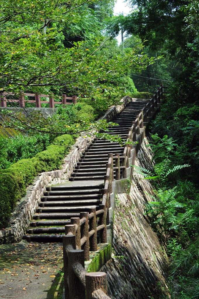 これを登るのか