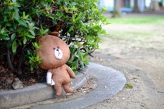 忘れられたクマ