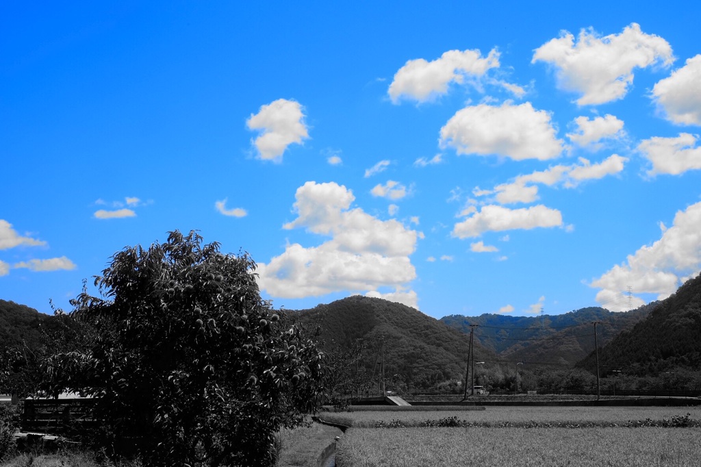 いつもの風景