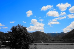 いつもの風景