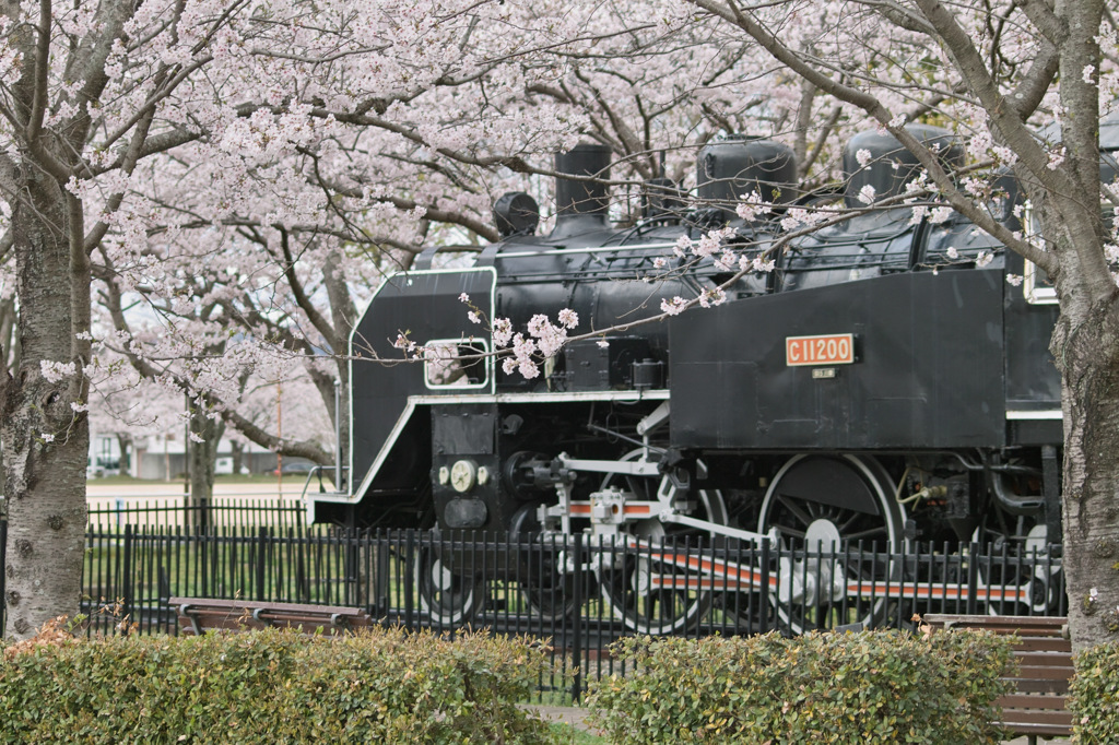 たつの市 D51