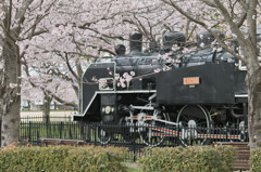 たつの市 D51