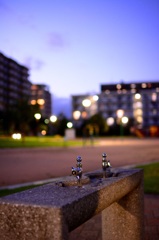 夜の公園  水飲み場