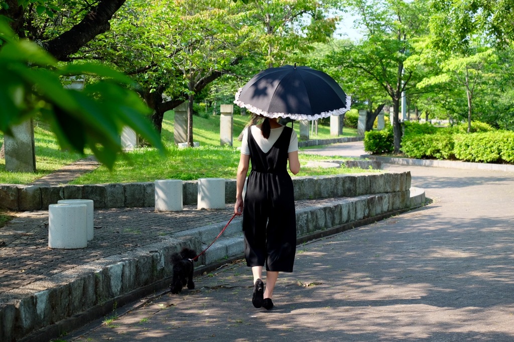 日傘手放せない