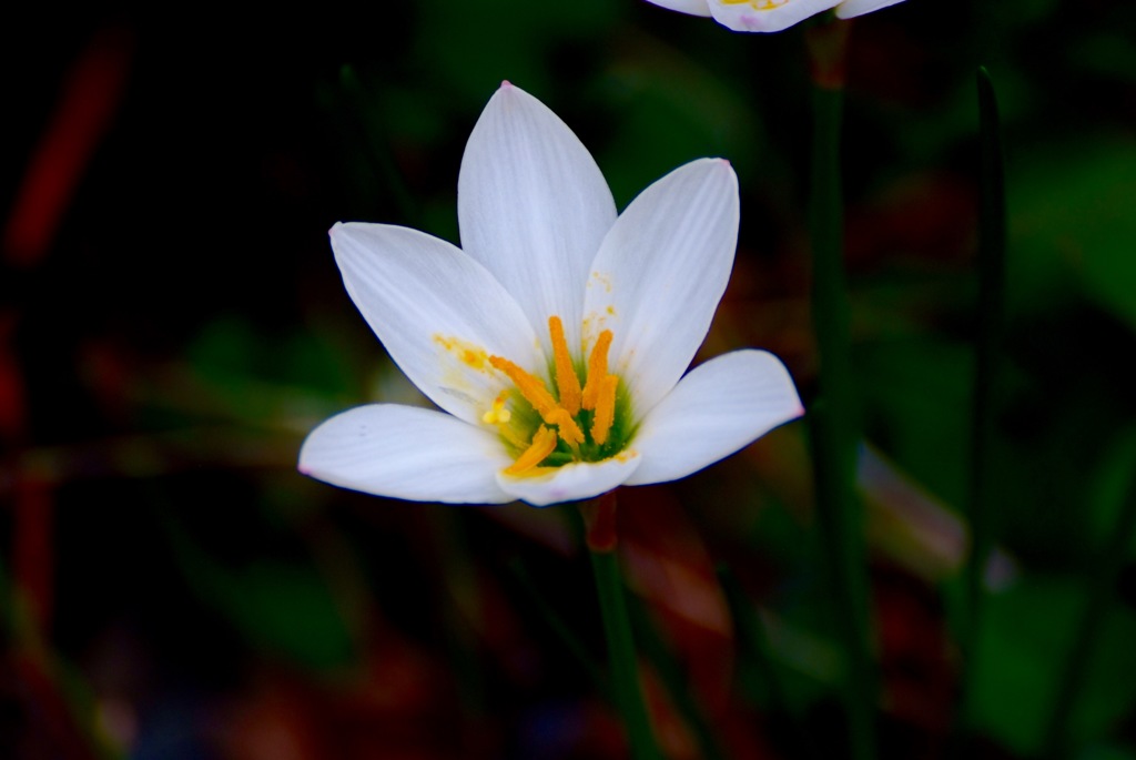 花粉黄色いな