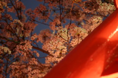 IMG_3782