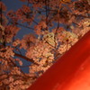 IMG_3782