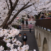 新学期