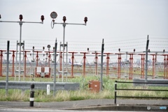 フェンスから見える景色