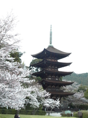 瑠璃光寺