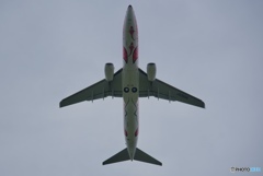 飛行機のお腹♪