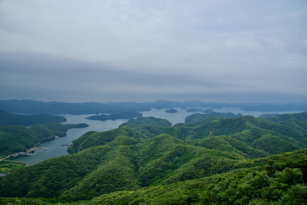 浅茅湾