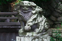 子之神社の狛犬