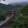 散歩道の八幡神社