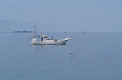 漁船とカモメ