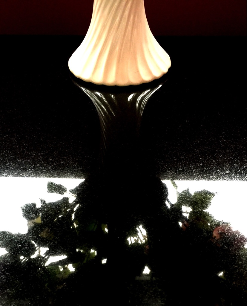 rainy flower