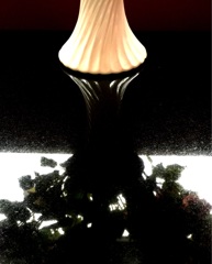 rainy flower