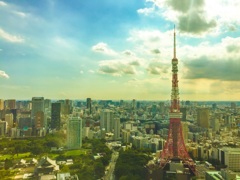 ちょっと鳥になってみました、、、的なw