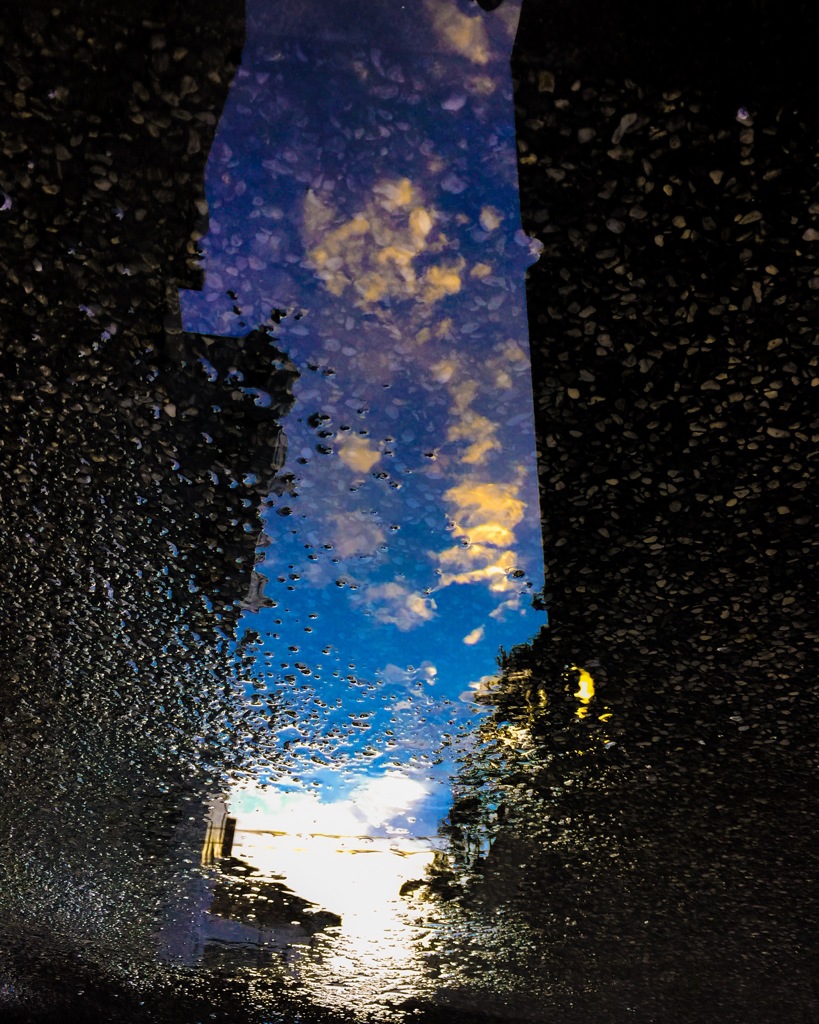 雨上がりにうつむけば