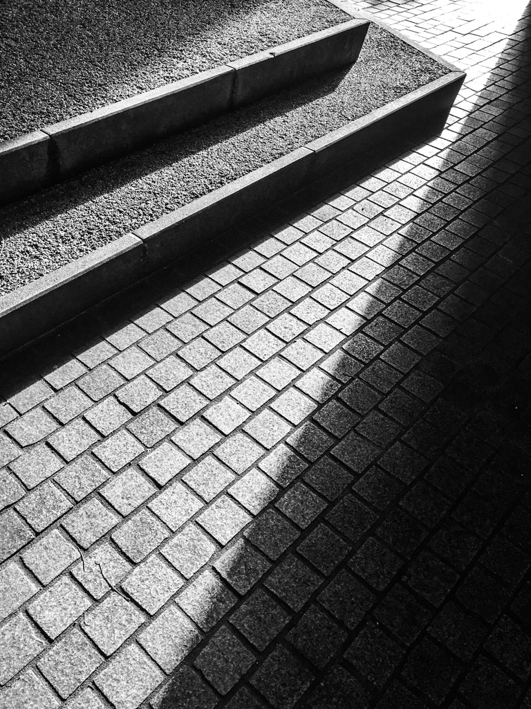 lights n shadows 