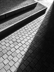 lights n shadows 