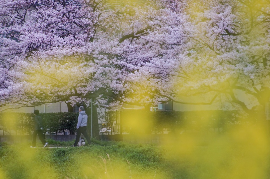 歩