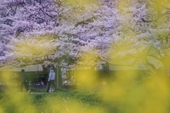 歩