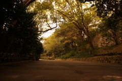 帰り道