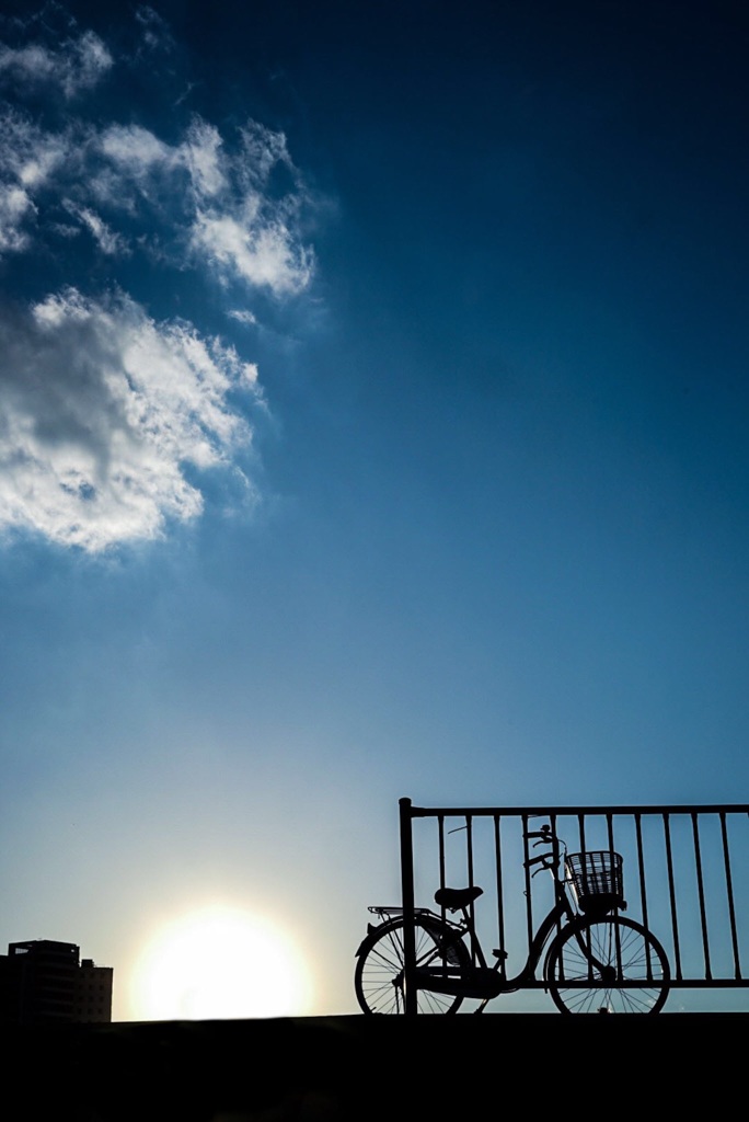 越谷百景13:自転車