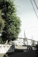 越谷百景46:ゲットだぜ