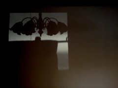 the lights
