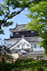 城