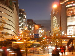 大阪の夜