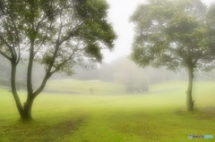 朝霧の中で．．．