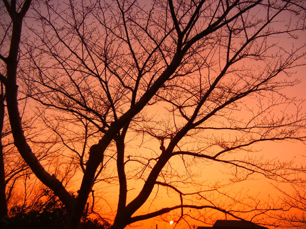 何時までも見ていたい夕空