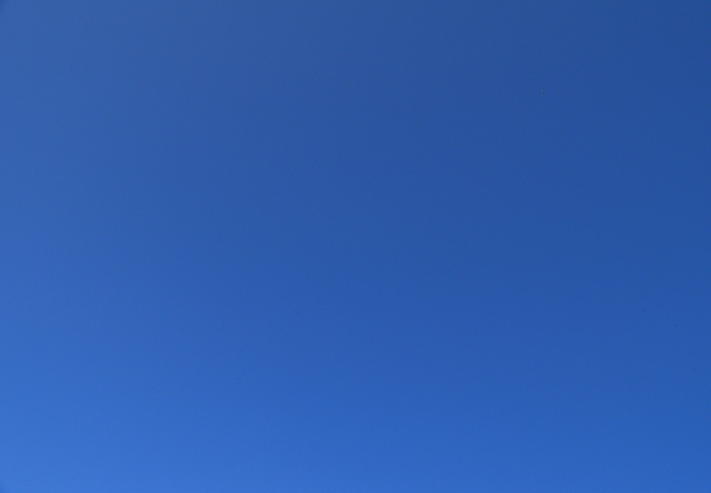 今日の空は、青かった！！．．．笑！