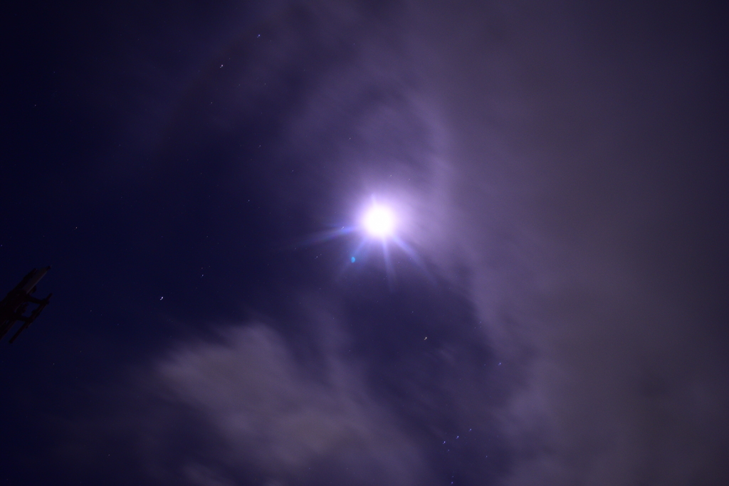 夜の太陽（月光）