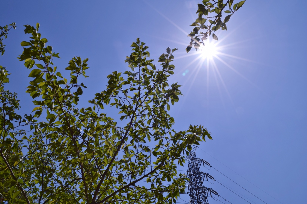 気持のいい青空