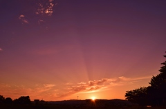 夕景