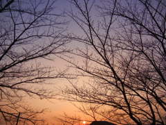 心が癒された夕空