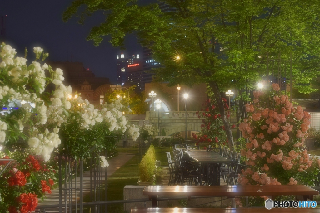 Cafe Terrce 3　(中之島公園）
