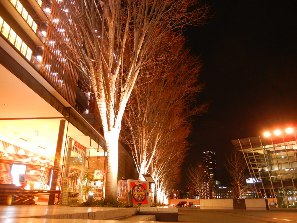 うめきた広場（大阪駅）