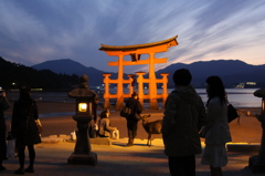 日暮れの宮島