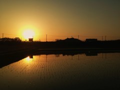 田舎駅の夕焼け